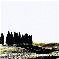 Les ombres  les plus longues