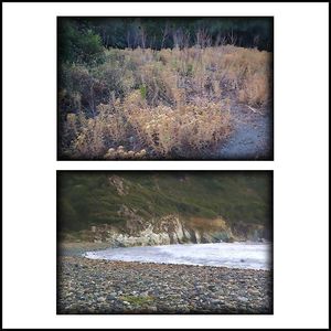 Nausicaa, confie-moi ton rêve Nausicaa, confie-moi ton rêve