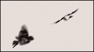 Il passe oiseau -ph-m-re comme la pr-carit- de l-amour