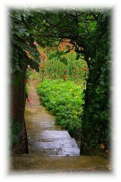 O tempo é o de um jardim O tempo é o de um jardim