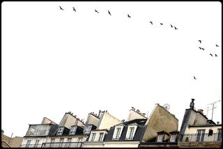 Toute crainte s’envole | dans un battement d’ailes Toute crainte s’envole dans un battement d’ailes