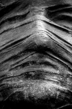 Qui se cache derrière eux ? 800 x 532