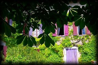Un léger mouvement dans les feuilles