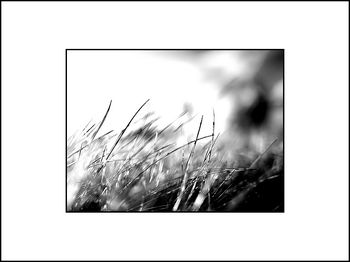 Qu’attendre du poème ? || Le rayonnement de l’instant. Le rayonnement de l’instant.