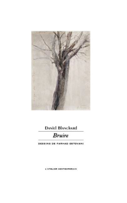 Daniel Blanchard  Bruire