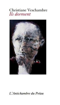 Christiane Veschambre, Ils dorment, L’Antichambre du Préau, 2017. Christiane Veschambre Ils dorment