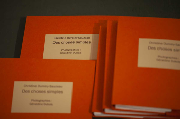Christine Duminy-Sauzeau  Des choses simples