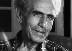 Abd al-Hamid Abed al-Hamid