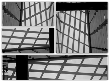 Ogni storia è groviglio di innumerevoli storie OMBRES Pecora