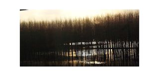 Les rejetons pleutres